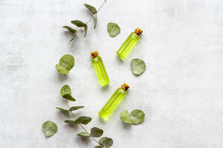 Herbal eucalyptus essence. Natural cosmetic for massage, skincare productの写真素材