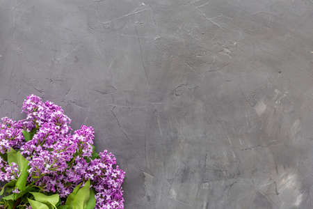 Branch of pink lilac flowers. Top view, copy spaceの写真素材