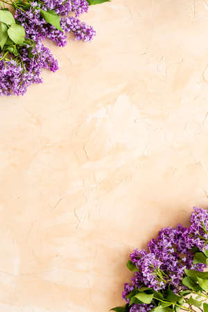 Frame of purple flowers - spring lilac branches with space for textの写真素材