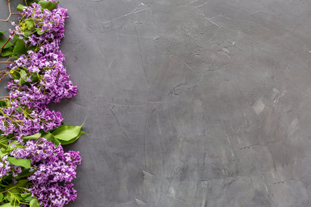 Flat lay composition of spring flowers - branches of lilac top view