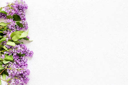 Border of spring lilac flowers. Flat lay, top viewの写真素材