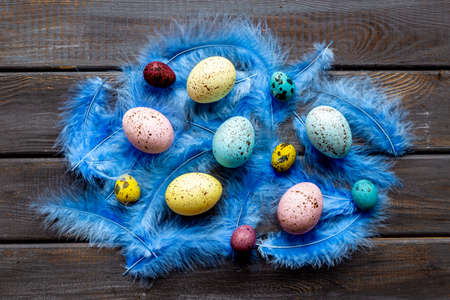 Easter eggs with birds feather. Decoration concept, top viewの写真素材