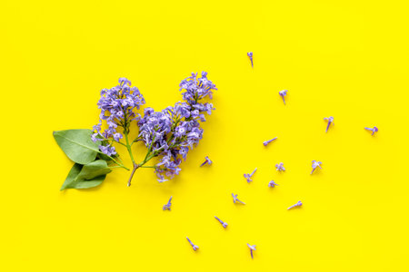 Flat lay composition of spring flowers - branches of lilac top viewの写真素材