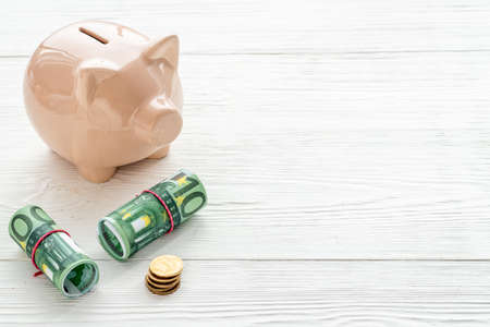 Investment concept. Piggy bank with money, close upの写真素材