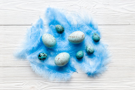 Flat lay of colorful Easter eggs and birds feather, top view