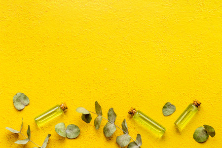 Essential eucalyptus oil in glass bottle. Herbs cosmetic and skincare product conceptの写真素材