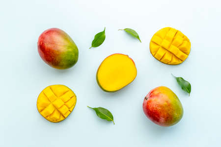 Mango layout - tropical fruits abstract backgroundの写真素材