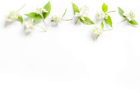 Summer flowers - jasmine with green leaves, top viewの写真素材