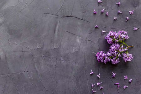 Branch of pink lilac flowers. Top view, copy spaceの写真素材