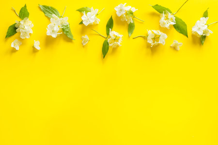 Summer flowers - jasmine with green leaves, top viewの写真素材