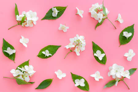 White jasmine flowers pattern top view. Floral flat layの写真素材