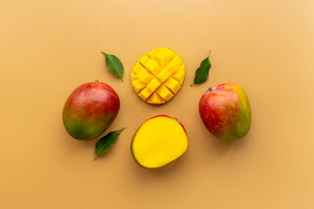 Mango layout - tropical fruits abstract backgroundの写真素材