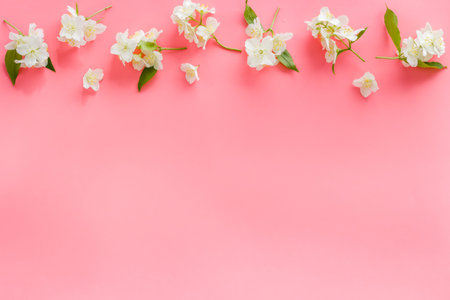Top view of blossom jasmine flowers. Floral pattern flat layの写真素材