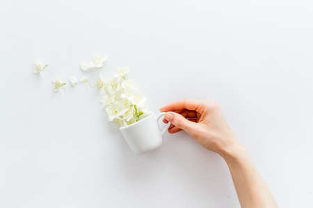 Jasmine flowers flying into a cup. Herbal tea conceptの写真素材