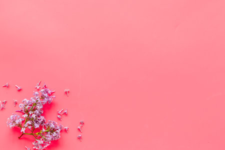 Branch of pink lilac flowers. Top view, copy spaceの写真素材