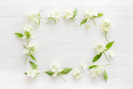 White blossom jasmine flowers with green leaves flat lay
