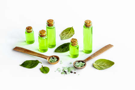 Tea essential oil in glass bottles with green leavesの写真素材