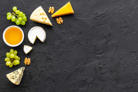 Set of different types of cheese with grapes. Dairy products flat layの写真素材