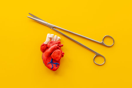 Surgical instruments and heart model. Heart surgery concept