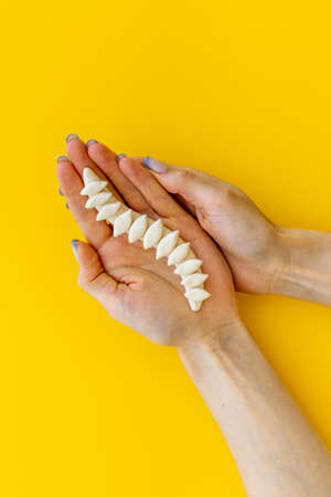 Spine skeleton model in hands. spinal diseases curvature conceptの写真素材
