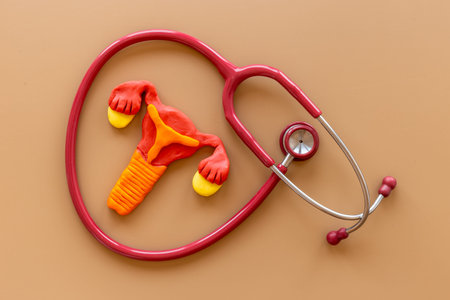 Female uterine cancer of women health concept with uterus and ovaries model