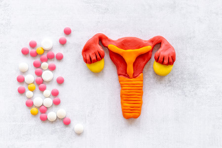 Women health concept - female uterus and ovaries model with medical pills