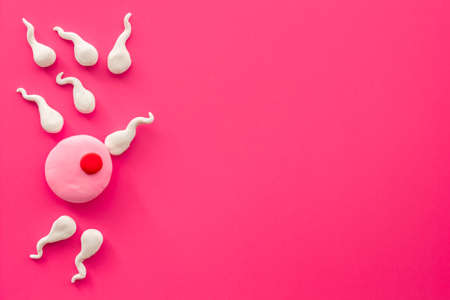 Female ovum and sperm made of plasticine. Pregnancy conceptの写真素材