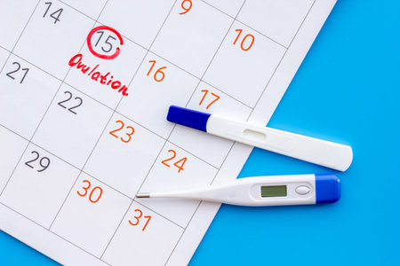 Ovulation home test and thermometer on calendar with red mark