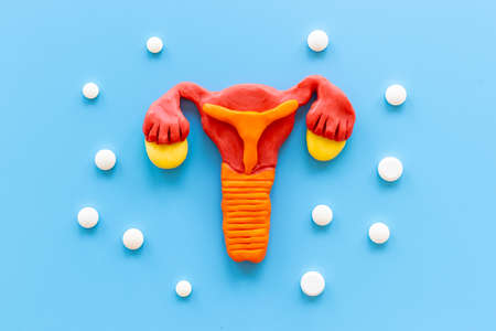 Women health concept - female uterus and ovaries model with medical pillsの写真素材