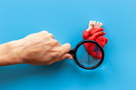 Heart health concept with hands and human heart model