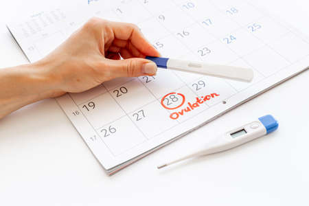 Ovulation home test in female hand over calendar with red markの写真素材