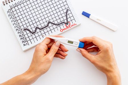 Basal temperature calendar with hands holding ovulation home testの写真素材