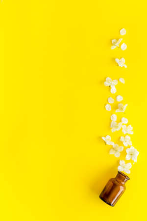 Jasmine flowers essential massage oil. Perfume oil with jasmineの写真素材