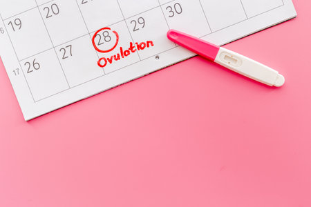 Ovulation home test on calendar with ovulation day red markの写真素材