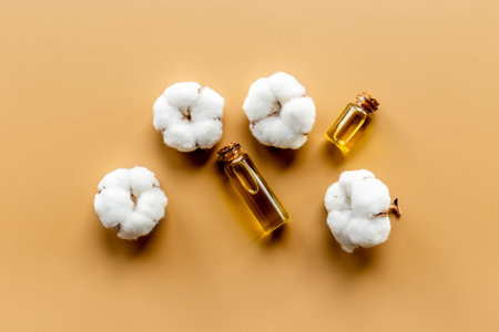 Cotton seeds oil with plant flowers. Essence extra virgin oilの写真素材