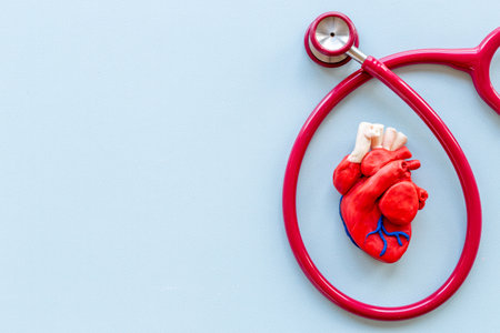 Cardialgy disease treatment - heart model with stethoscope top view