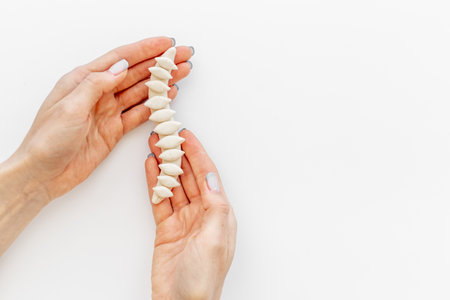 Spine skeleton model in hands. spinal diseases curvature conceptの写真素材