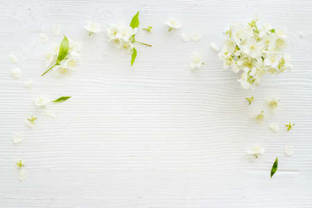 Tea in a cup with jasmine flowers. Herbal tea top viewの写真素材