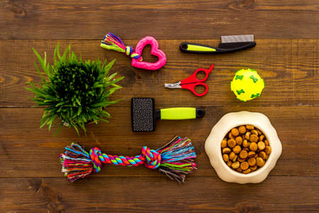 Pet care set with dry food in bowl with toys and treatsの写真素材