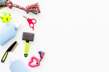 Pet care set with grooming tools and toys for dogs, top view