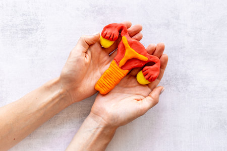 Female uterus and ovaries medical in wonams hands