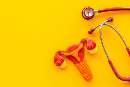 Women health care concept with female uterus and stethoscopeの写真素材
