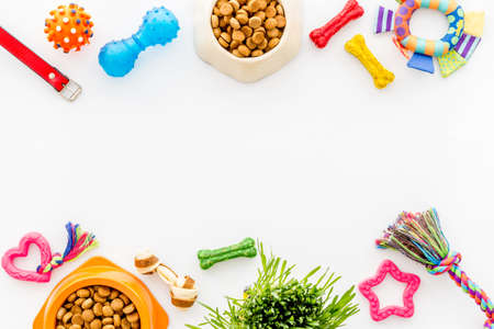 Pet accessories with dog and cat food and toys, top viewの写真素材