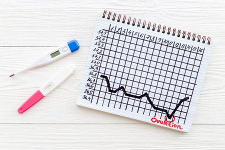 Thermometer and ovulation test on basal temperature chart. Predicting fertilityの写真素材