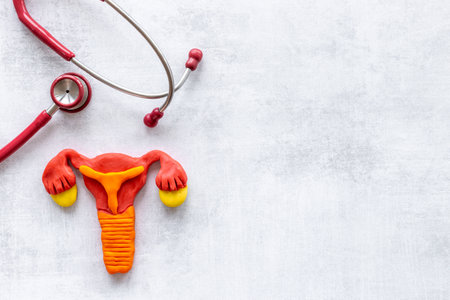 Women health care concept with female uterus and stethoscopeの写真素材