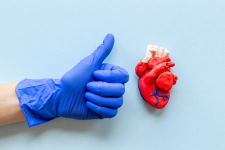 Cardiologist diagnostic of heart with hands in medical gloves, top view