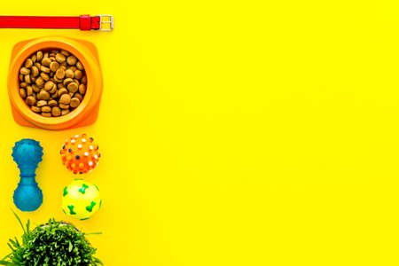 Pet accessories with dog and cat food and toys, top viewの写真素材