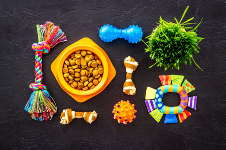 Dry pet food in bowl with toys and treats for dogs and cats