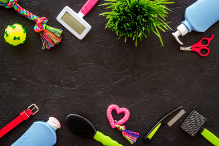Pet care set with grooming tools and toys for dogs, top viewの写真素材