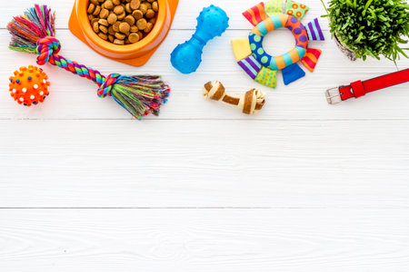 Dry dog food in bowl with toys and treats, top viewの写真素材